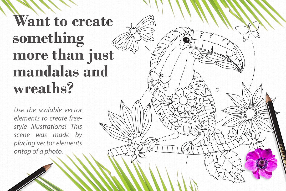 Rainforest Illustration Creator, a Plug-in Add-On by Drifter Studio (Photo 8 of 9)