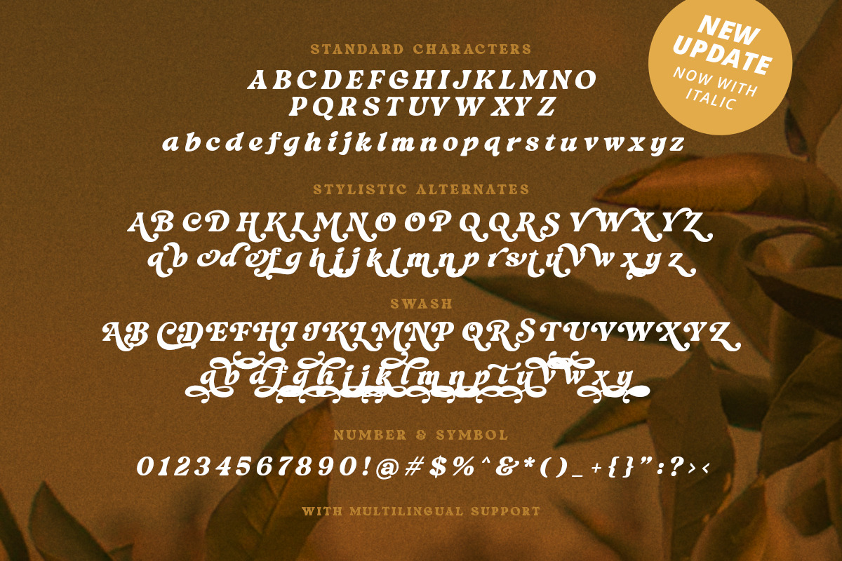 Update! Radnick - Stylish Retro, a Serif Font by Letterhend Studio (Photo 10 of 10)