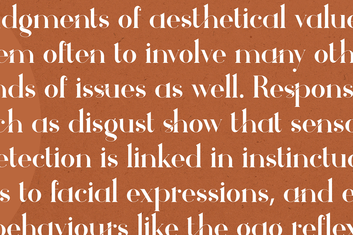 Theramy - Modern Ligature Font, a Serif Font by GraphicDash (Photo 8 of 10)