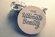 Steady (25% off), a Script Font by artimasa (Thumbnail 2 of 5)