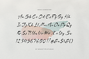 Burgiento | Modern Signature Script, a Script Font by gracetype_studio (Thumbnail 10 of 12)