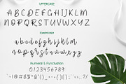 Sangers Signature, a Script Font by adelaide (Thumbnail 2 of 4)