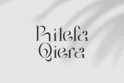 Bilea - Unique Brilliant Font, a Serif Font by suhadidesign (Thumbnail 8 of 14)