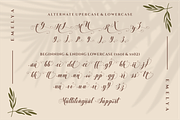 Emelya - Elegant Calligraphy Font, a Script Font by Idea Studio (Thumbnail 9 of 11)