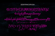 Sebatang Brush, a Script Font by Realtype (Thumbnail 10 of 10)