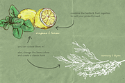 Pencil Drawing Culinary Herbs, an Illustration by elpple (Thumbnail 5 of 6)