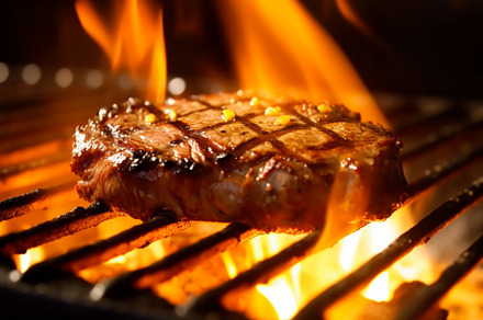 Meat beef steak grilled on fire, food bbq and hot grill, generat, a Food & Drink Photo by Anneleven