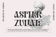 Rostema - Unique Display Typeface, a Serif Font by RagamKata (Thumbnail 7 of 11)