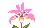 Flowers Clip Art 19 Illustrations, an Illustration by Karen Fields Design (Thumbnail 2 of 4)