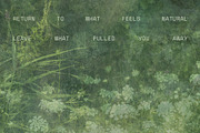 Veine Verte Botanical Backgrounds, a Background Graphic by alonahaidash (Thumbnail 18 of 20)