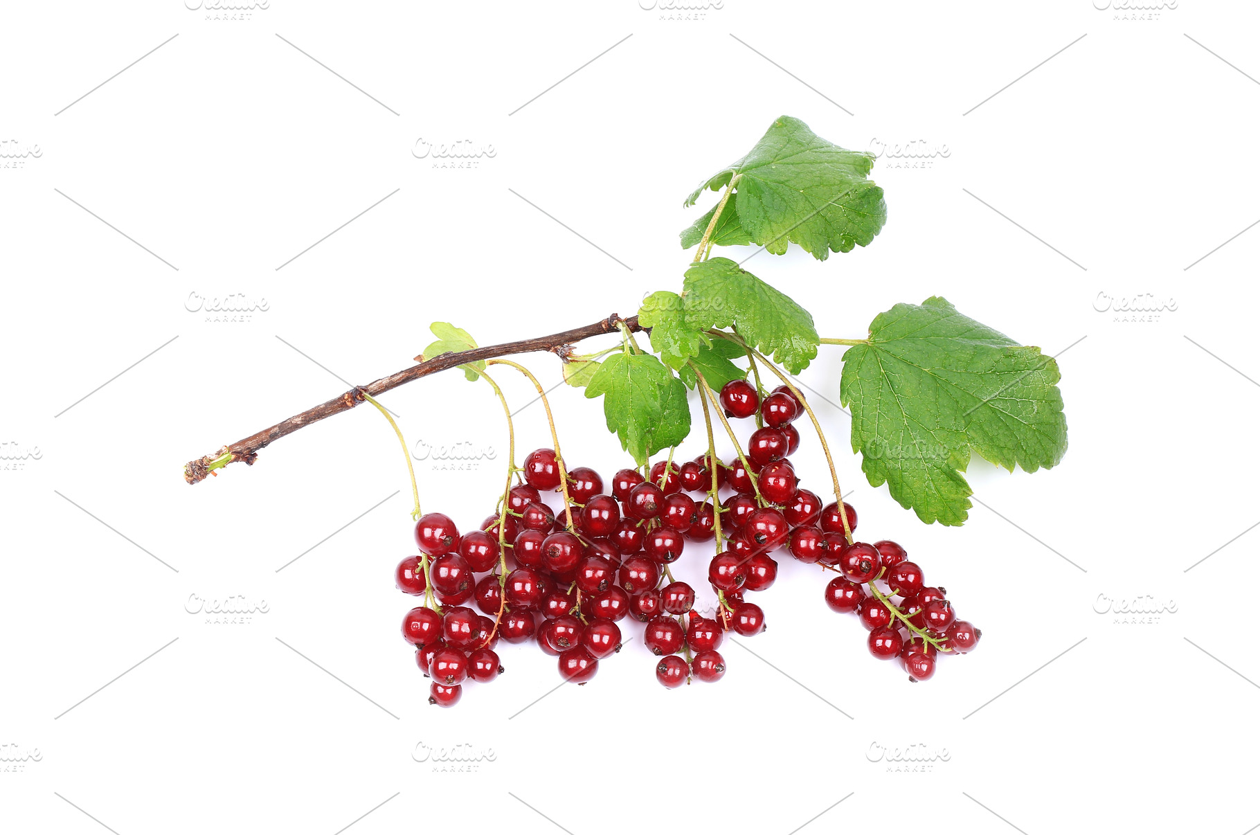 branch of ripe red currants isolated, a Food & Drink Photo by sabyna75