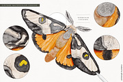 Watercolor Canvas Box for Procreate, a Brush Add-On by Liquid Amethyst Art (Thumbnail 5 of 9)