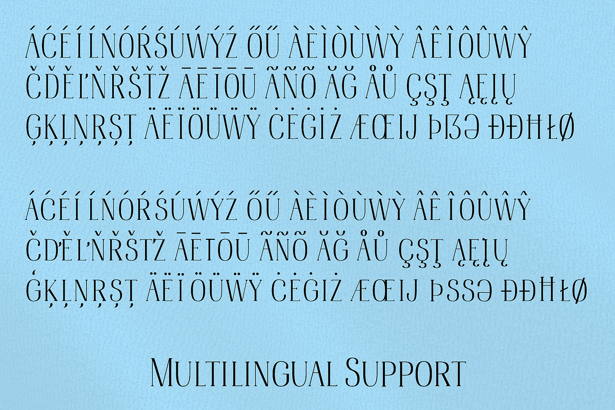 Bonheur Serif, a Serif Font by EW Type Foundry (Photo 9 of 10)