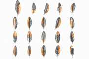 Feather Watercolor Clipart, an Illustration by Libby Wishes (Thumbnail 2 of 7)