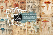Jellyfish Anatomy Junk Journal Pages, an Animal Illustration by Digital Art Mahdiseño (Thumbnail 1 of 10)