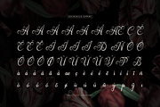 Arthemy Rorelia | Calligraphy Font, a Script Font by Denustudios (Thumbnail 11 of 12)