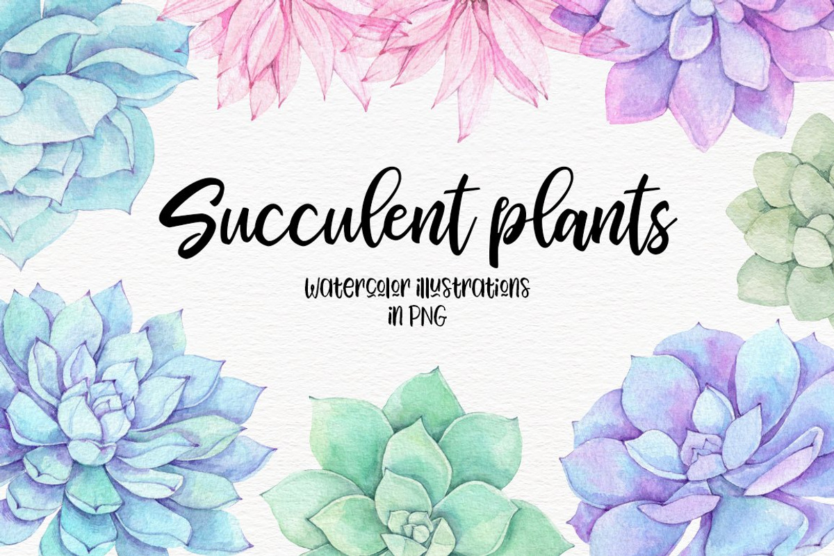 Floral bundle | Watercolor SALE, a Decorative Illustration by Kate Macate (Photo 21 of 28)