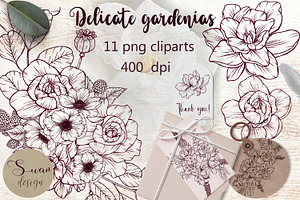 Elegant vintage gardenia flowers png