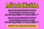 Mundlite Font Bundles, a Sans Serif Font by 24Design Studios (Thumbnail 18 of 24)