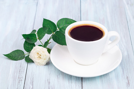 Dark coffee in white cup, beautiful rose on background, light blue wooden table, a Food & Drink Photo by iuliia_n