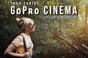 GoPro Protune Cinema LUT Pack, a Layer Style Add-On by Josh Zaring Studios (Thumbnail 2 of 2)