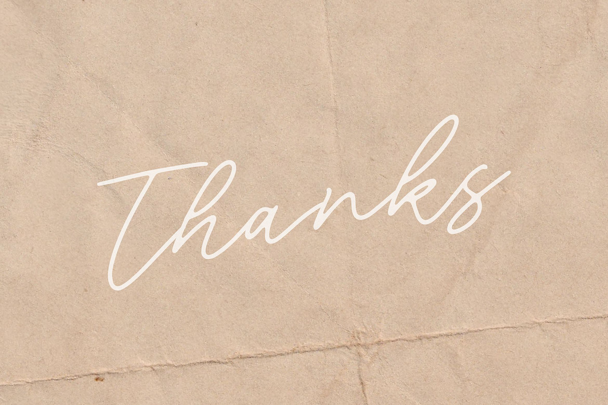 Blackswan - Monoline Signature Font, a Script Font by Letterative Studio (Photo 7 of 7)
