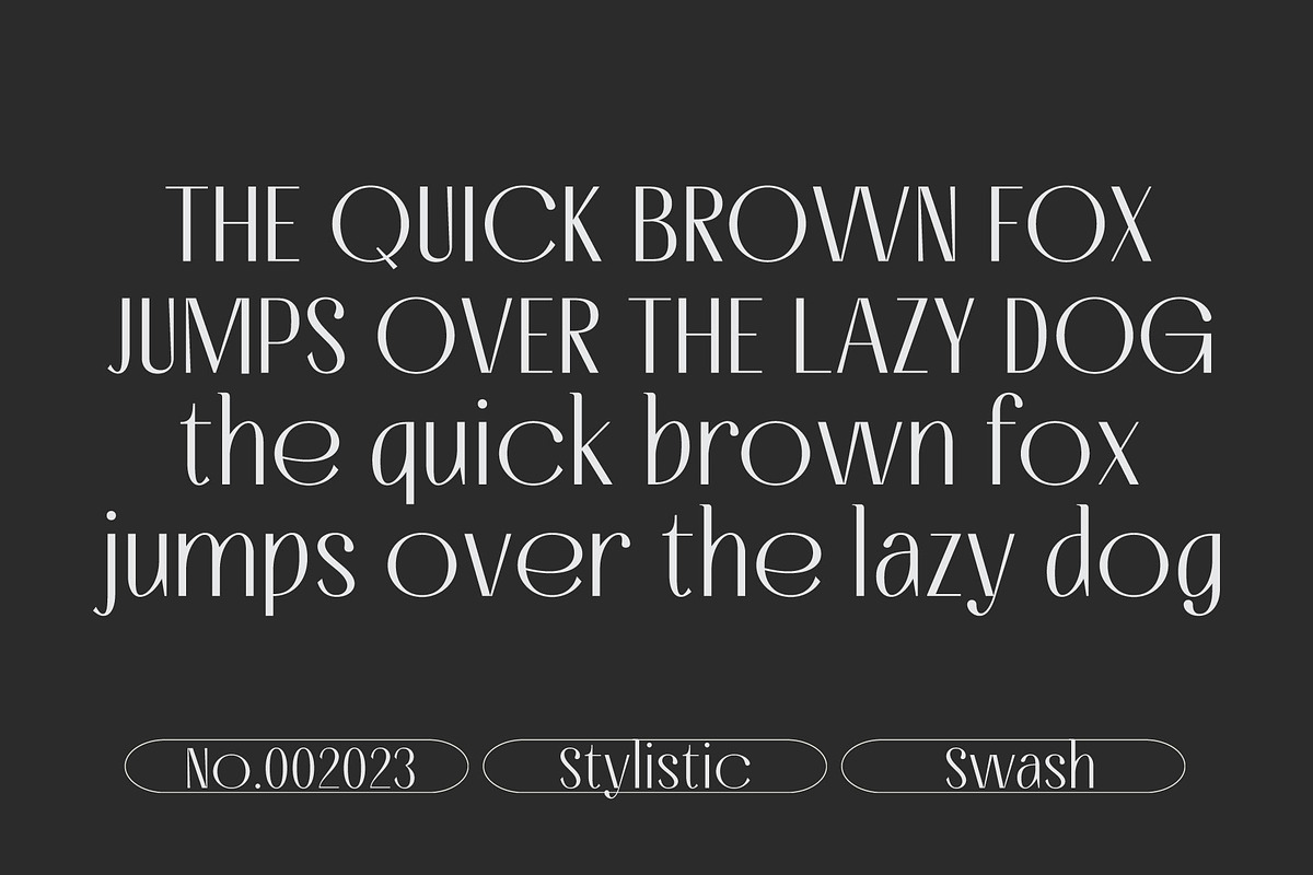 Loream Arivale Experience Elegance, a Font by AuthenType (Photo 6 of 8)