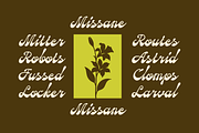 SFC Missane - Elegant Bold Script, a Script Font by Skilline Supply Co. (Thumbnail 4 of 10)