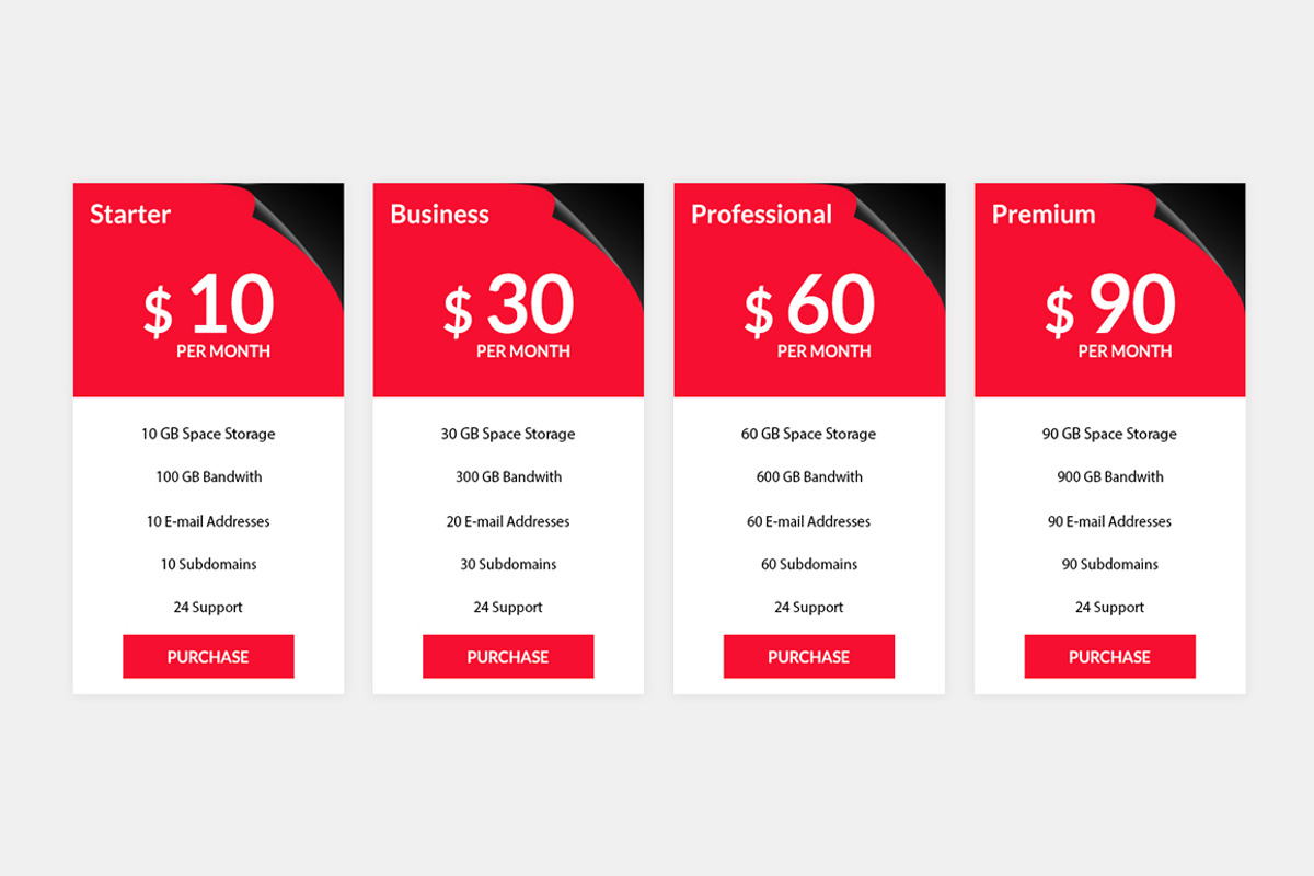 Pricing Table, a Templates & Theme by Youme Techworld (Photo 4 of 8)