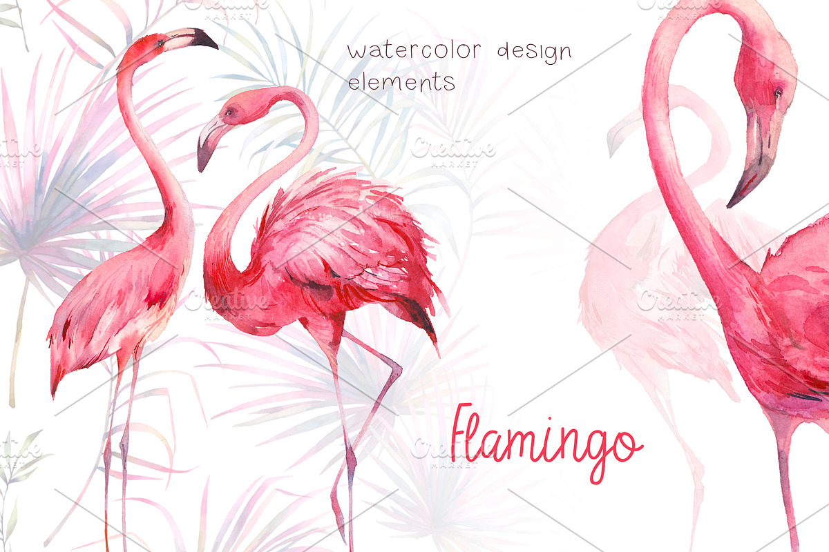 Flamingo, an Object Illustration by Eisfrei (Photo 1 of 4)