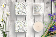 Wild field herbs. Botanical set., a Healthcare Illustration by Alena Kaz (Thumbnail 5 of 12)