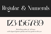 Roland Bryon Display, a Serif Font by LuhopCreative (Thumbnail 4 of 18)