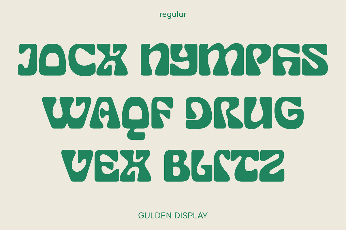 Gulden Display, a Font by Studio Gulden (Photo 2 of 12)