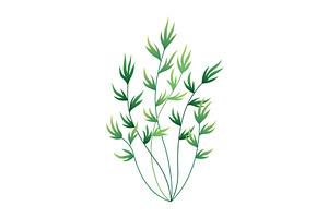 Seaweed and corals isolated on white, an Animal Illustration by the8monkey