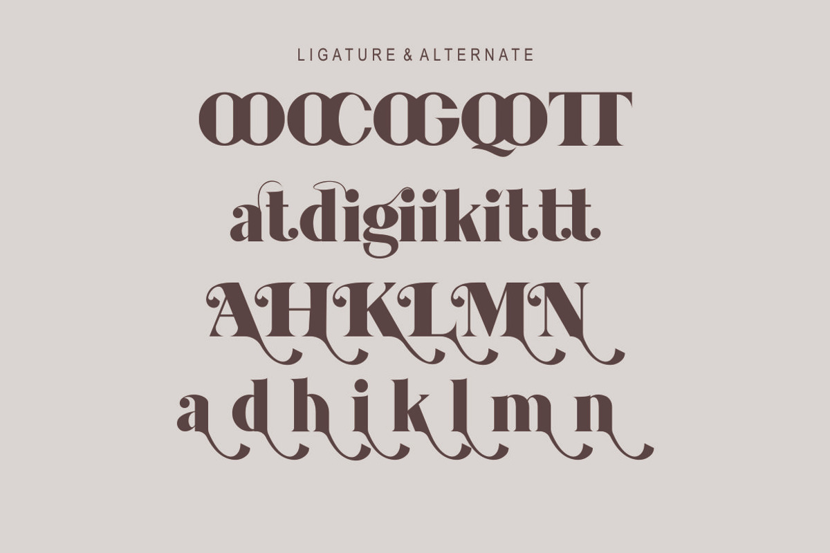 Amelia, a Serif Font by Kenrichi (Photo 9 of 10)