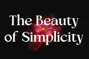 Tensura, a Serif Font by LuhopCreative (Thumbnail 3 of 21)