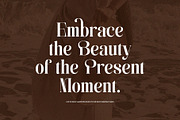 Faniling - Elegant Serif Font, a Serif Font by TypeLogue (Thumbnail 4 of 5)