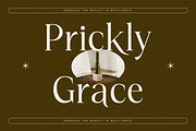 Kiprhany Modern Serif Font, a Serif Font by Letterena Studios (Thumbnail 9 of 15)