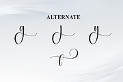 Anything | Script Font, a Handwritten Font by Scratchones (Thumbnail 8 of 9)