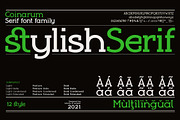 Coinarum - Serif font family, a Serif Font by Artistic & Unique (Thumbnail 2 of 12)