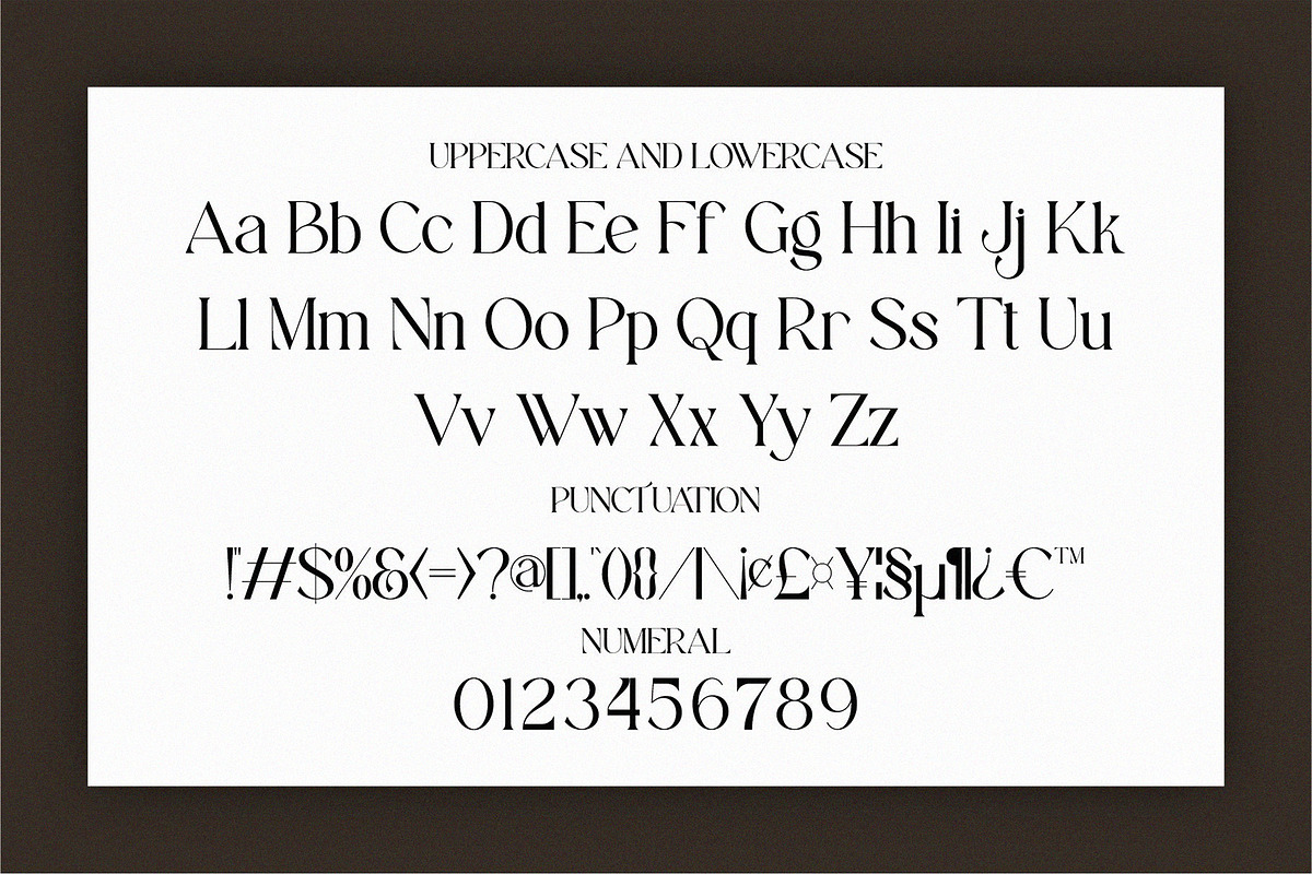 Biors || Modern Serif Font, a Script Font by Idea Studio (Photo 8 of 10)
