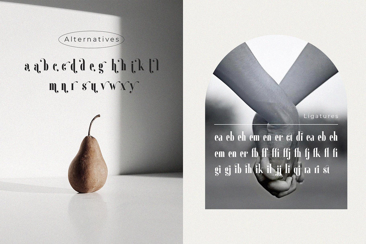 Gailanie // Stylish Ligature Font, a Serif Font by epicatype (Photo 10 of 10)
