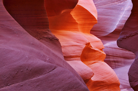 The play of light and shades gives r, a Nature Photo by kavram