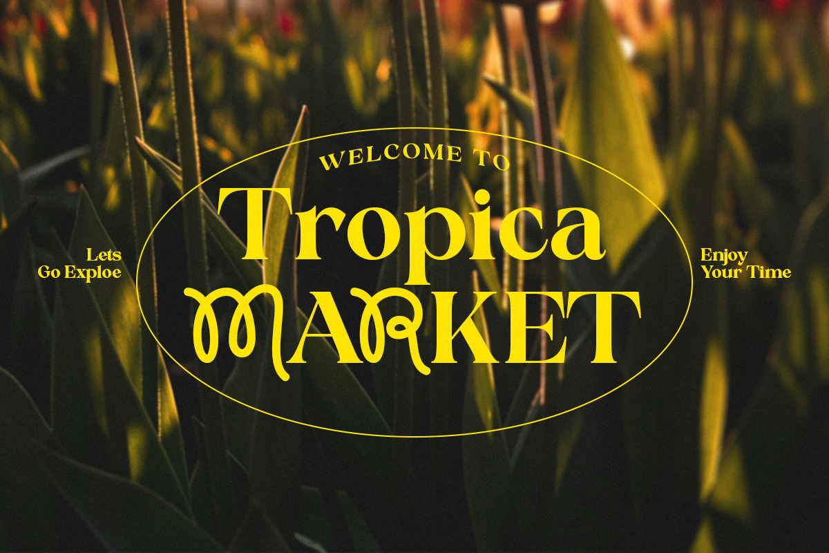 Proxina Serif Font, a Serif Font by Pista Mova (Photo 6 of 10)