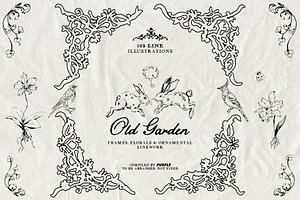 Old Garden: Botanical Linework, an Object Illustration by Purple