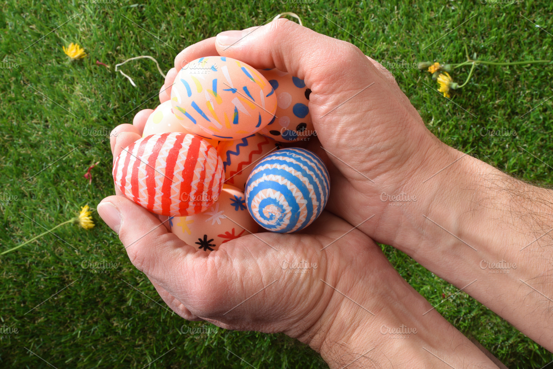 Hands Holding Colorful Easter Eggs Outdoors, a Holiday Photo by Davizro's Market