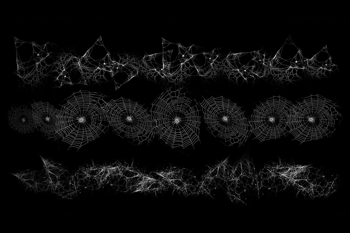 Spider Web Brush Set, a Brush Add-On by Zsolt Kosa Art (Photo 4 of 6)