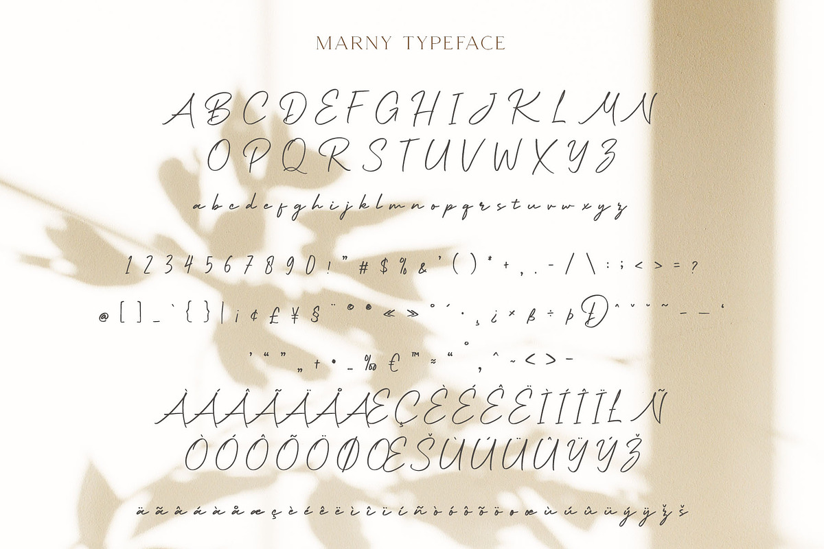 Marny - Stylish Signature Typeface, a Script Font by Craft Supply Co. (Photo 6 of 8)