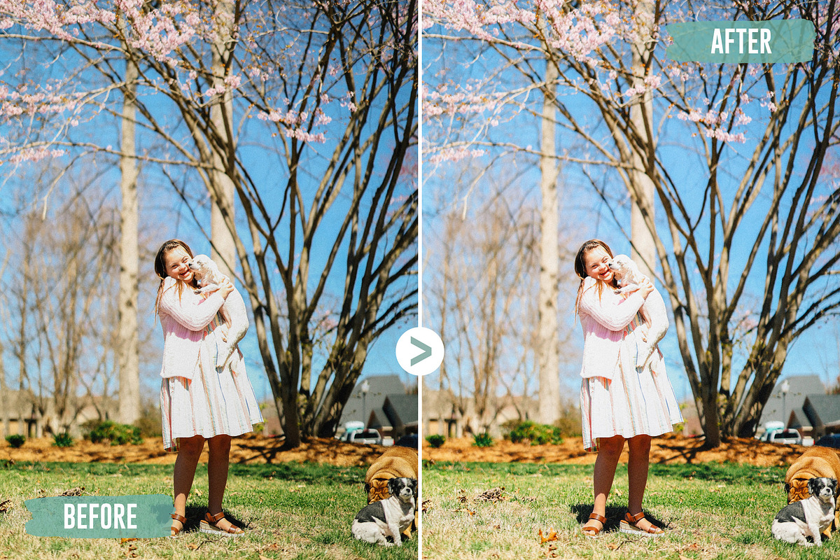 Dreamy Pastel | LUTs Pack, a Preset Add-On by itefan Studio (Photo 3 of 5)