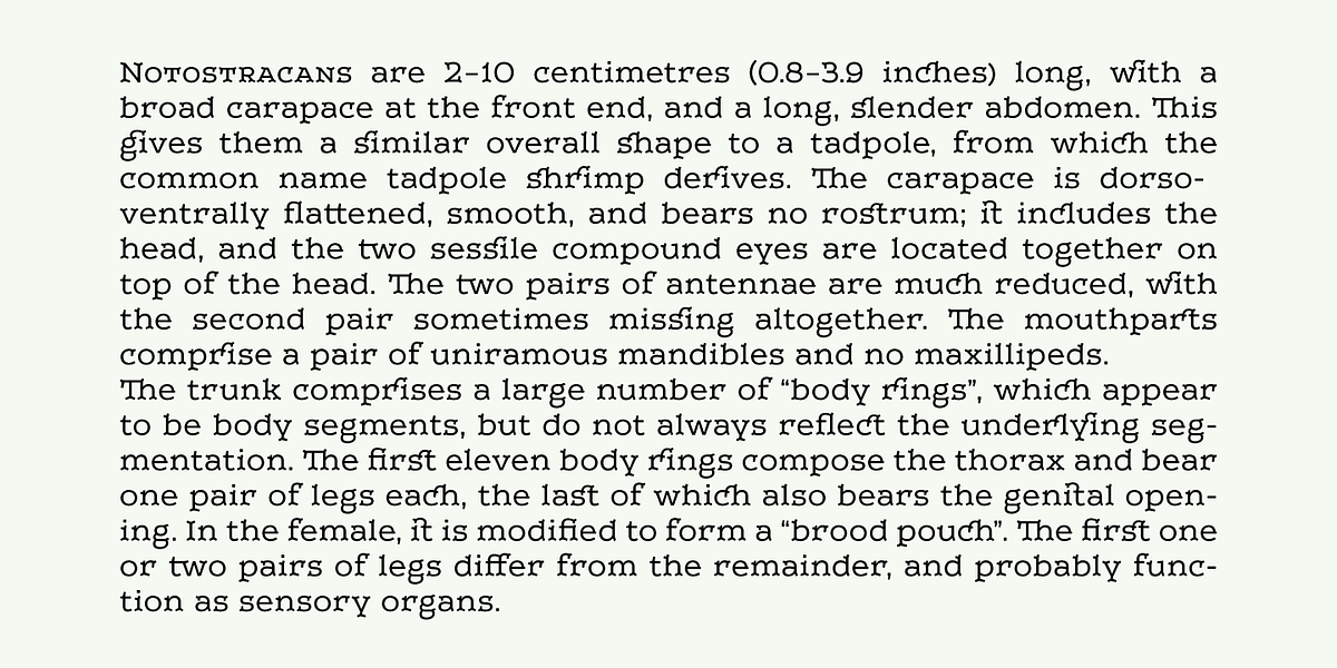 Leto Two, a Serif Font by Glen Jan (Photo 10 of 10)